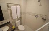 Туры в отель Hotel Puri Indah Subak