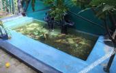 Туры в отель BeOne House Jogja