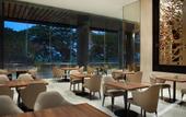Туры в отель Trembesi Hotel