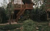 Туры в отель Kusfarm Bali by AHM