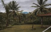 Туры в отель Kusfarm Bali by AHM