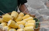 Туры в отель Kusfarm Bali by AHM