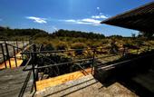 Туры в отель Mangroove Bay Boutique Hostel