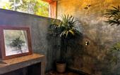 Туры в отель Mangroove Bay Boutique Hostel