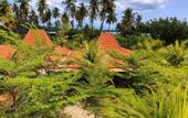 Туры в отель Mangroove Bay Boutique Hostel
