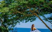 Туры в отель Bali Cliff Glamping