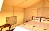 Туры в отель Bali Cliff Glamping