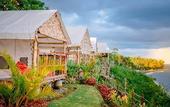Туры в отель Bali Cliff Glamping