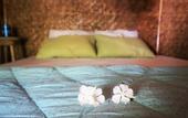 Туры в отель Same Same Bungalows Eco Lodge