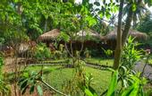 Туры в отель Same Same Bungalows Eco Lodge
