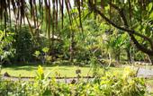 Туры в отель Same Same Bungalows Eco Lodge