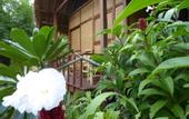 Туры в отель Shibui Garden Bungalows and Restaurant