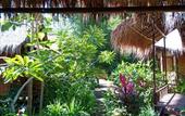 Туры в отель Shibui Garden Bungalows and Restaurant