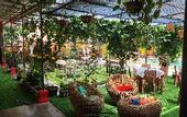 Туры в отель Dewi Sri Guesthouse