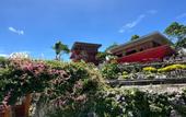 Туры в отель Glamping Omah Kayu at Watu Paris Jogja
