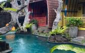 Туры в отель Villa Telaga Wana