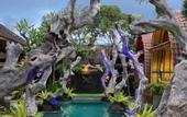 Туры в отель Villa Telaga Wana