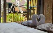Туры в отель Villa Telaga Wana