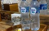Туры в отель Villa Telaga Wana