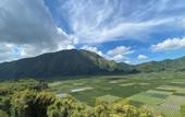 Туры в отель Bayview Beach Resort East Lombok