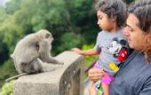 Туры в отель Bayview Beach Resort East Lombok