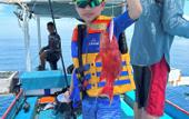 Туры в отель Bayview Beach Resort East Lombok