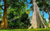 Туры в отель Bayview Beach Resort East Lombok