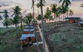 Туры в отель Bobocabin Bunaken Hills