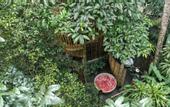 Туры в отель Asep Gumi Bamboo Villa Pesagi