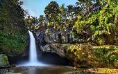 Туры в отель Sekar Bali Homestay