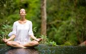 Туры в отель Capung Asri Ubud