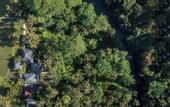 Туры в отель Capung Asri Ubud