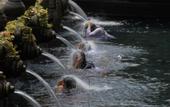 Туры в отель Capung Asri Ubud