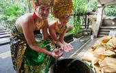 Туры в отель Capung Asri Ubud