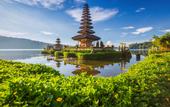 Туры в отель Capung Asri Ubud