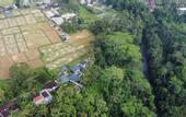 Туры в отель Capung Asri Ubud