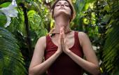 Туры в отель Capung Asri Ubud