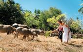 Туры в отель TUNAK Resort Lombok