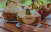 Туры в отель TUNAK Resort Lombok
