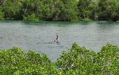 Туры в отель TUNAK Resort Lombok