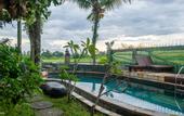 Туры в отель Kubu Sari Ubud