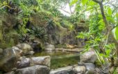 Туры в отель Kubu Sari Ubud