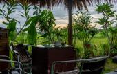 Туры в отель Kubu Sari Ubud