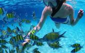 Туры в отель Lobster Bay Resort