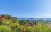 Туры в отель Lobster Bay Resort