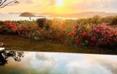 Туры в отель Lobster Bay Resort