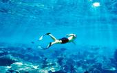 Туры в отель Lobster Bay Resort