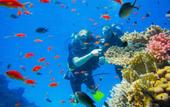 Туры в отель Lobster Bay Resort