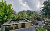 Туры в отель Onion Garden And Natural Hotspring