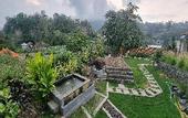Туры в отель Onion Garden And Natural Hotspring